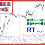 【公開記念版:MT5】裁量トレードの"復習"ソフト RT for MT5（RCC対応インジ付き)