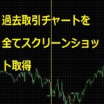 自身の過去取引チャートのスクリーンショット取得