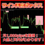 【ライン天底ボックス】月1,000pipsを獲得！