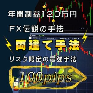 伝説の両建て手法 FXのリスクを抑えた投資法 1回数十pipsの利益を獲るトレード手法