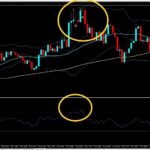 仮想通貨バイナリーオプション専用サインツール！ビットリアム