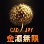 金源無限-カナダドル円(CJMB)