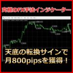 究極のFX手法インジケーター〈天底の転換サインで月800pipsを獲得！〉