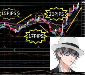 【オンラインサロン会員様優待版】チワワのエル　DXY　パーフェクト　シグナル　売買アラート