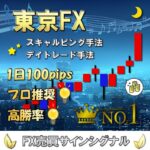 東京FX プロ直伝のFXスキャルピング＆デイトレードツール トレーダーの神業テクニック 長年の実績があるロジックをサインツール化+マニュアル化