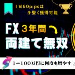 FX両建て無双 1日50pipsは手堅く獲得可能 サインツールを使った両建てトレード手法