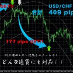 話題の最強FXツールの元祖インジケーター