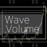 需給を可視化し，大口の投資家の動向を捉える『Wave_Volume』