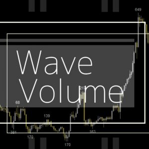 需給を可視化し，大口の投資家の動向を捉える『Wave_Volume』