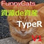 FC_資源de資産_TypeR