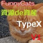 FC_資源de資産_TypeX