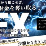 【NECOSOGI】サインツール＋【5万円を10倍にする手法】＋【少額で爆速に稼ぐ裏技】3本セット