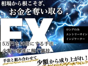 【NECOSOGI】サインツール＋【5万円を10倍にする手法】＋【少額で爆速に稼ぐ裏技】3本セット