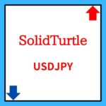 solidturtle