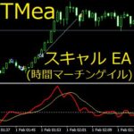 TMea 時間マーチンゲイルスキャル EA