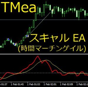 TMea 時間マーチンゲイルスキャル EA